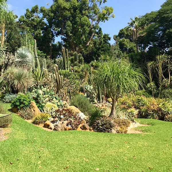 Hidden Gems in Naples – Image of Botanical Garden