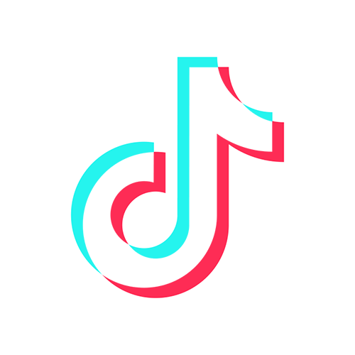 TikTok icon