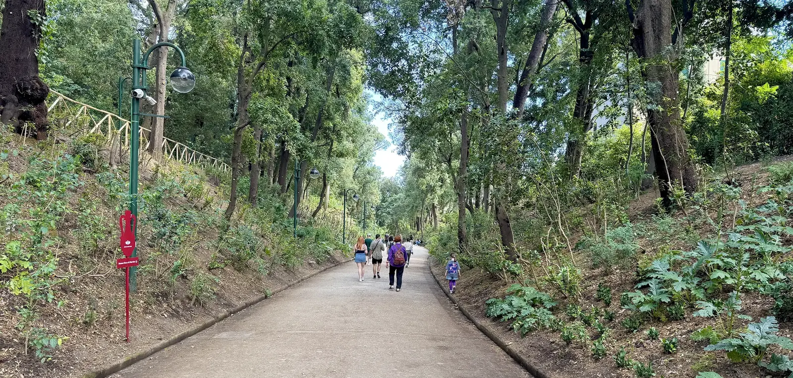 The entrance avenue of Villa Floridiana